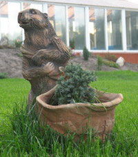 Малые архитектурные формы