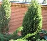 ������� �����������